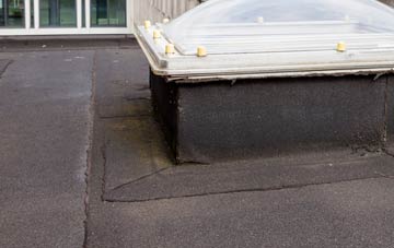 disadvantages of Hazlerigg flat roofs